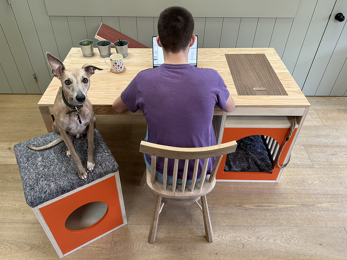 2023 entrant - George and James Architects Ltd The Agility Desk