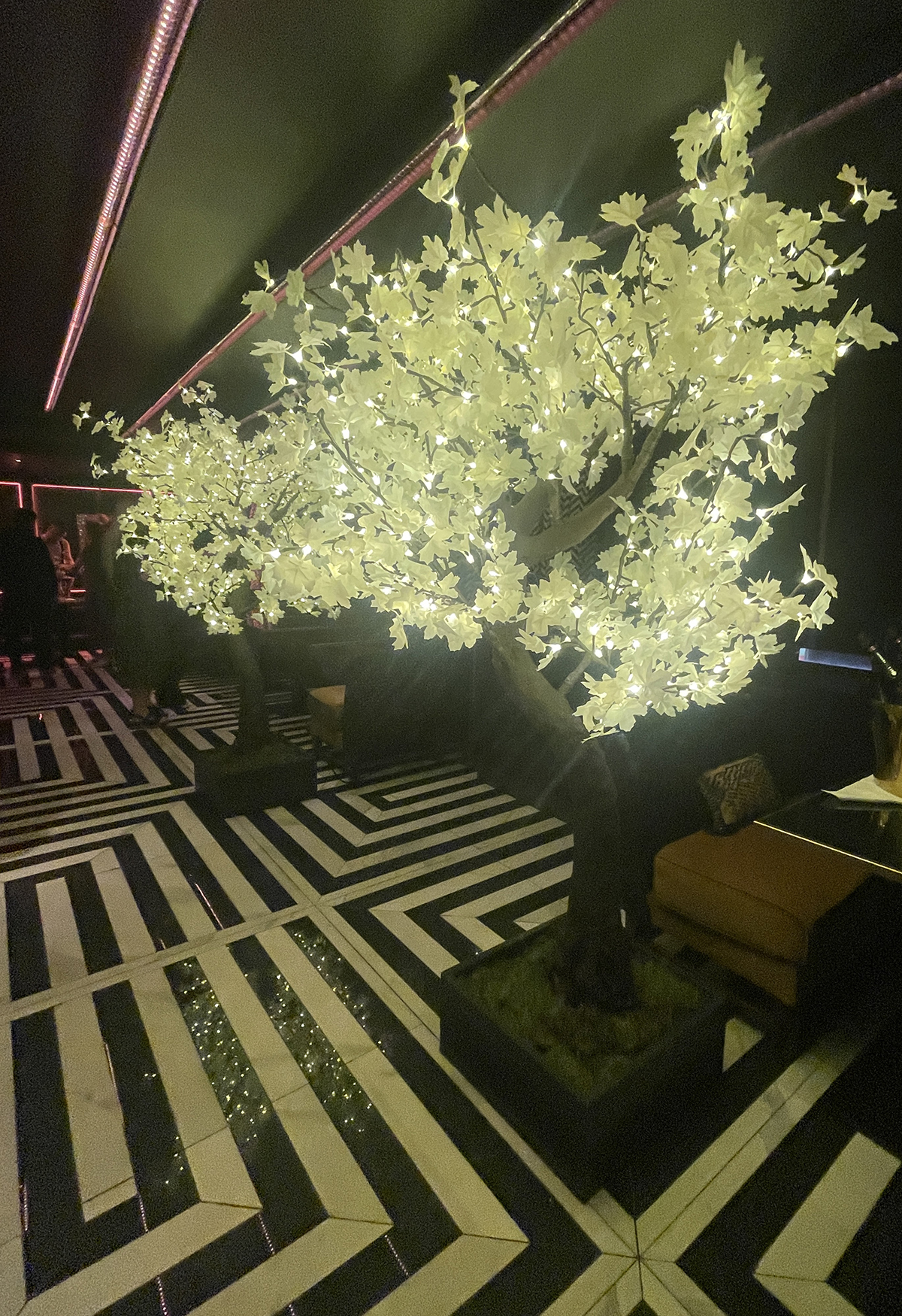 The design was shimmering distinctive tones of black and white with occasional accents of gold with lighting featuring occasional Illuminated tree features