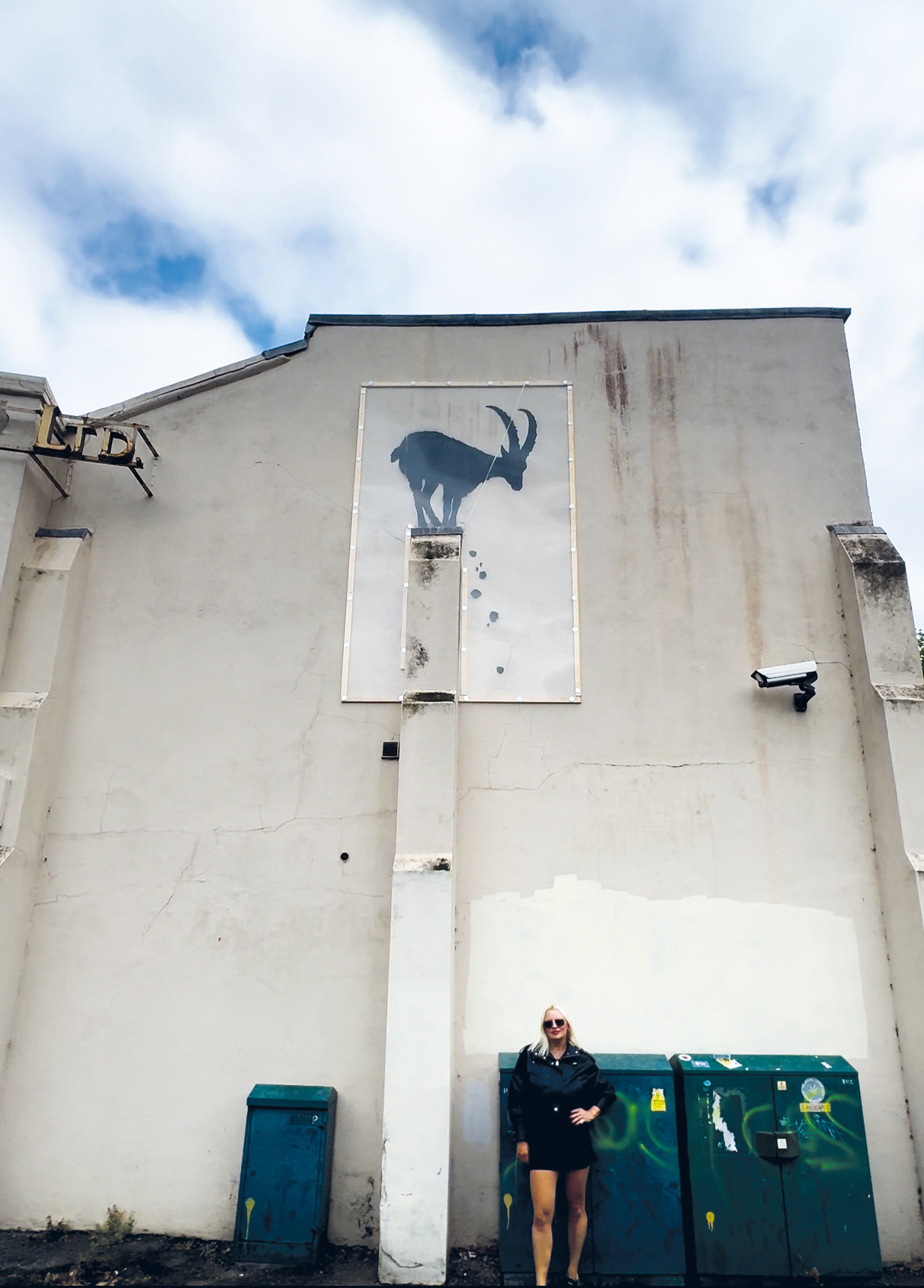 The mountain gazelle, Palestine’s national animal, represents resilience in the face of adversity. Luiza pauses to consider.