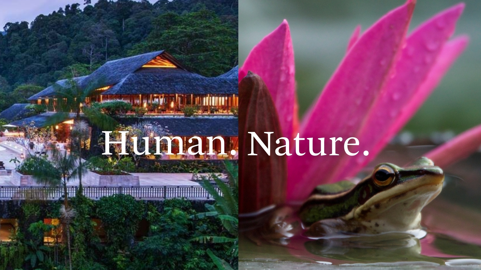 Sustainability at the heart of April festival at The Datai Langkawi ...