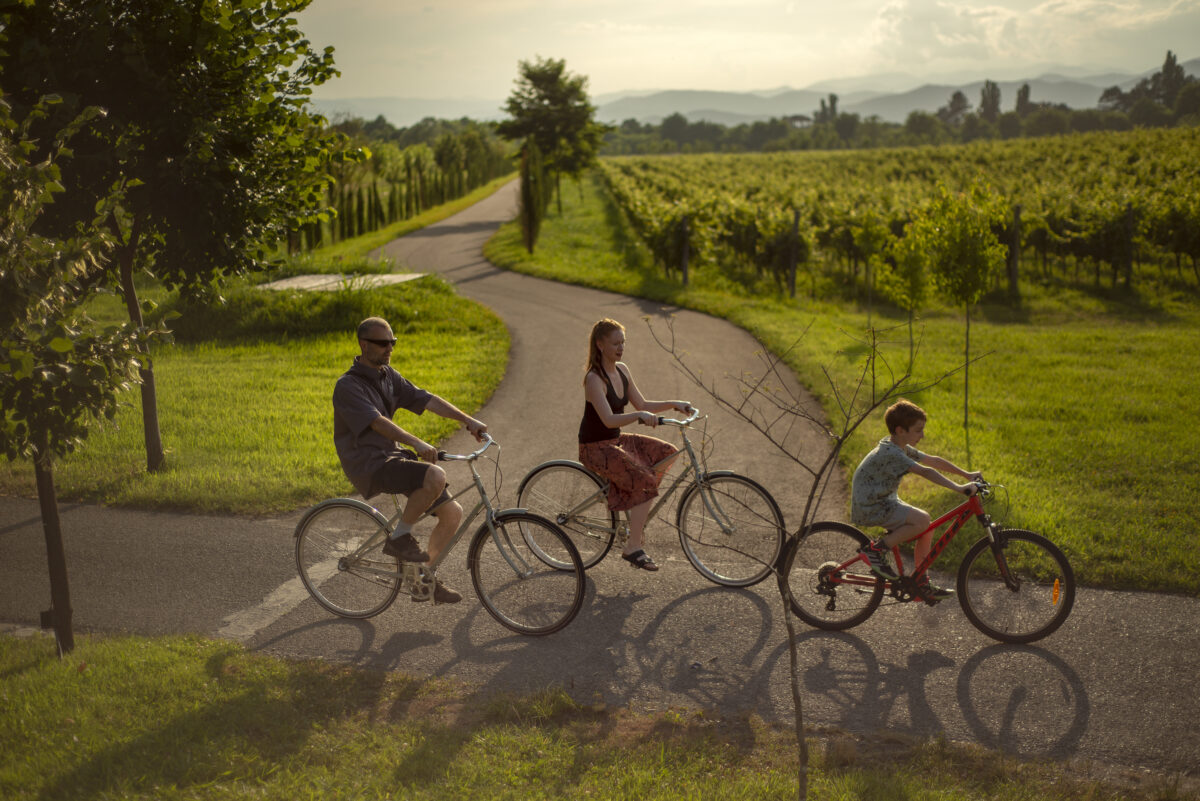 Cycling at Chateau Buera
