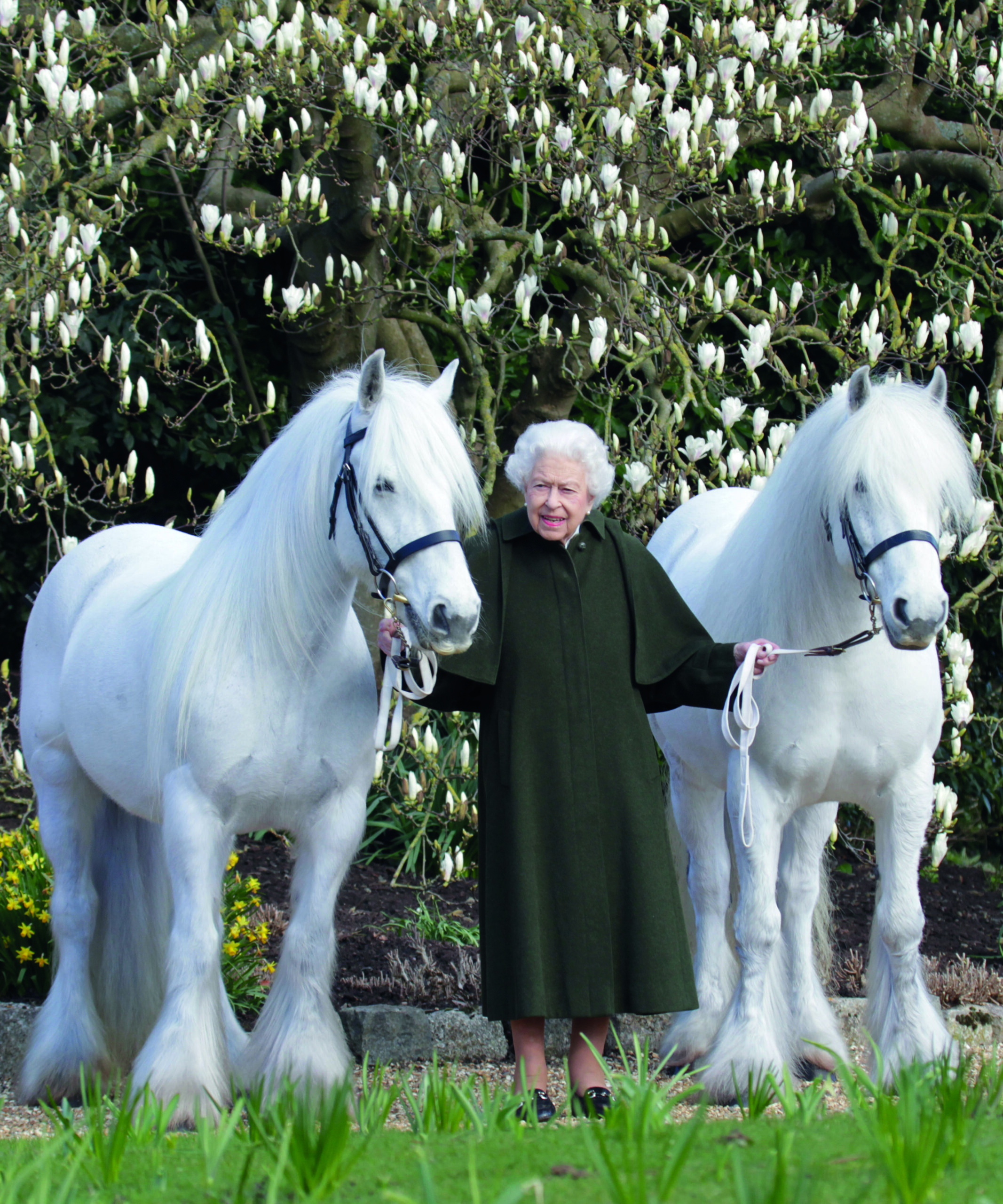 Her Majesty Queen Elizabeth II, photographed by Henry Dallal