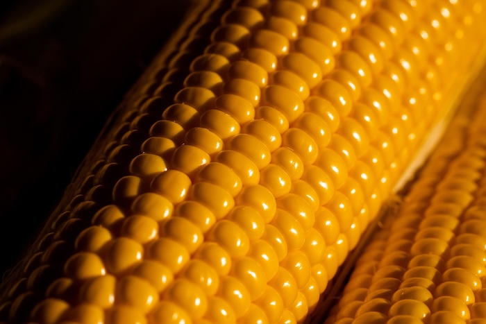 Sweetcorn Weekend at Secretts
