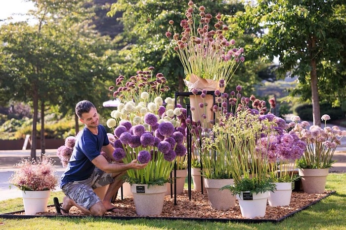 Photo: www.rhs.org.uk